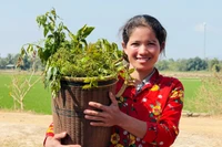 Spring Blessings from the Teng Leng Flower Season