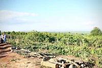 Quy Nhon - Pleiku Expressway Project: Dak Doa Residents Voluntarily Hand Over Land for Construction