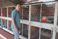 The first person to produce civet coffee in Pleiku.