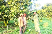 Vietnamese veterans turn hardship into prosperity and community support