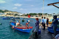 Coastal localities are tightening management efforts and taking firm action to strictly handle fishing vessels violating IUU regulations. Photo: N.N