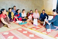 It is necessary to further strengthen public awareness campaigns on reproductive health care in villages and hamlets in the western region of the province.