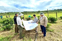 Adjustment of Gia Lai Provincial Planning: Expanding Development Space, Creating New Growth Drivers