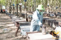 Ms. Nguyễn Thị Kim Hân (left, from Phú Xuân block, Tây Sơn commune) instructs female workers at her garment workshop. Photo: Hải Yến