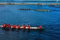 The lively atmosphere of preparations and training for the traditional boat racing festival during the Lunar New Year 2026.