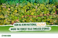 Kon Ka Kinh National Park: Where the Forest Tells Its Story Through Every Breath