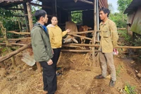 Đặng Đình Tấn: A Frontline Official Close to the People, Connecting the Community