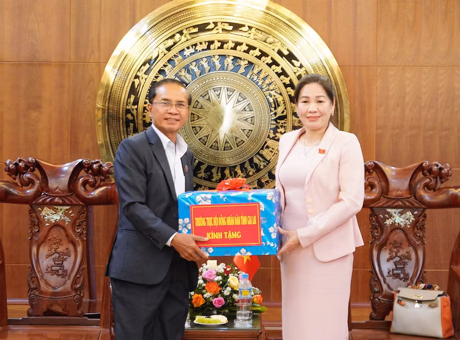 doan-can-bo-tinh-salavan-lao-tham-chuc-tet-tinh-gia-lai.jpg