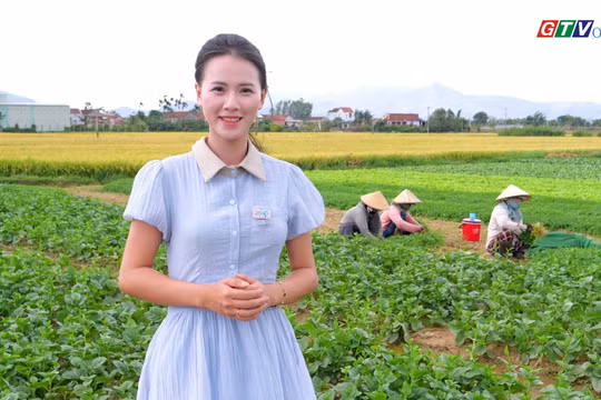 Thuận Nghĩa Vegetable Village: A green haven in the land of martial arts