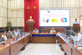 Gia Lai: Six-Month Economic Growth Reaches 8.21%