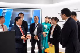 Promoting Cooperation with Japanese Enterprises in Urban Development and High-Tech Agriculture