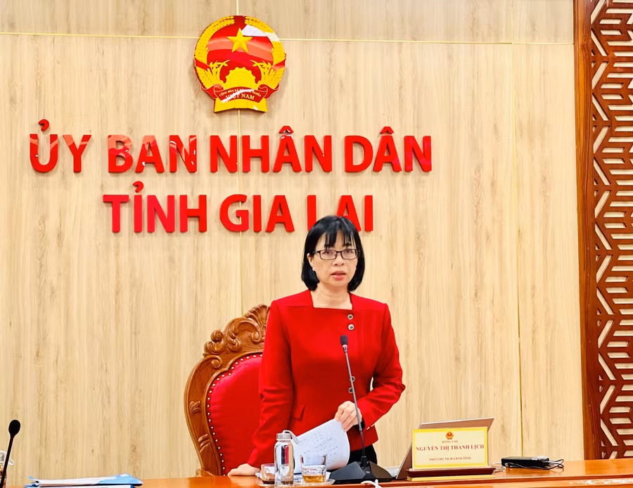 pho-chu-tich-ubnd-tinh-nguyen-thi-thanh-lich-phat-bieu-tai-cuoc-hop-anh-pl.jpg