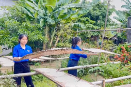 Gia Lai youth harness digital creativity to promote local tourism