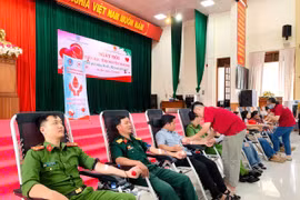 Gia Lai collects 169 units of blood at 2025 voluntary donation festival
