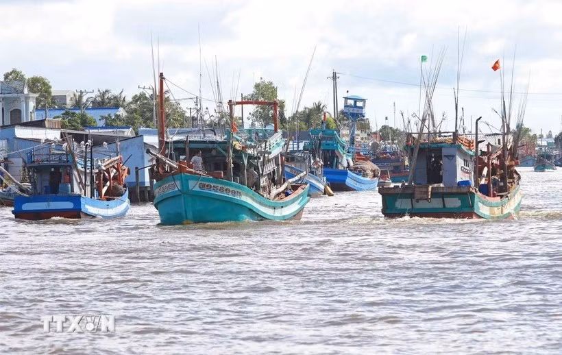 sustainable-fishery-vna.jpg