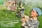 Developing a Sustainable Passion Fruit Production Value Chain