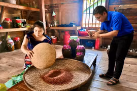 Đak Pơ Youth Help Locals Promote Regional Specialties on Digital Marketplace