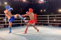 Gia Lai seeks 80 volunteers for the 9th in’tl Vietnamese traditional martial arts festival