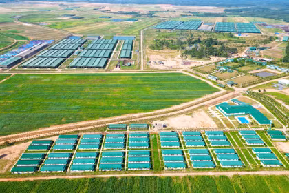 Taking Vietnamese Enterprises Deeper into International Markets