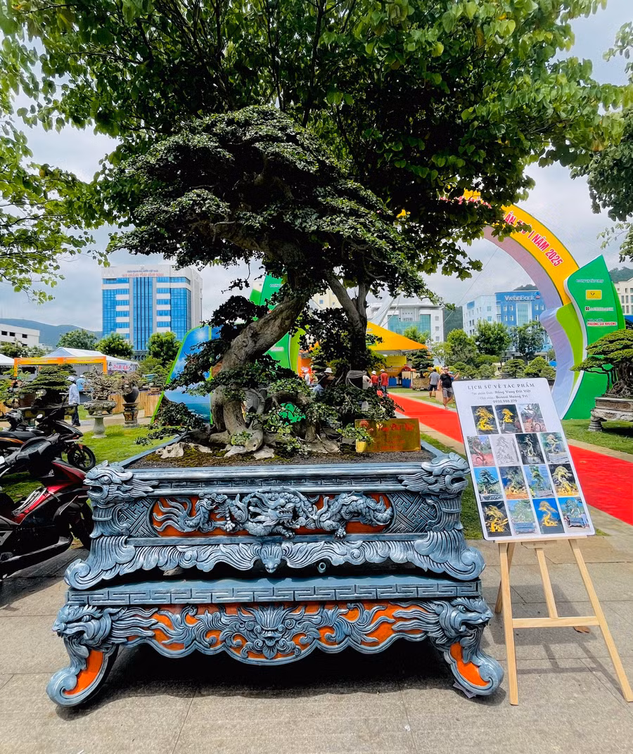 lien-hoan-sinh-vat-canh-tinh-gia-lai-14.jpg