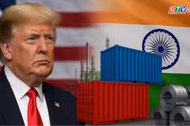 NATO faces dilemma between Russian oil and Trump's demands