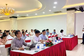 Gia Lai: Training Workshop on Export Development and Border Trade