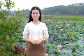 Thông Viu – A relaxing retreat in the heart of Pleiku