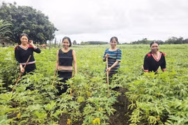Highland Women Support Each Other to Stabilize Their Lives