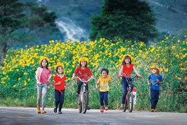 Following the Seasons of Blossoms