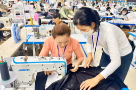 Investing in Skills, Investing in Development