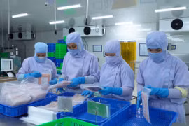 New Opportunities for Red Tilapia Farming