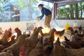 Expanding Green Agriculture Models