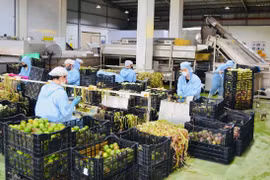 Developing Green Industrial Parks Towards an Ecological Model