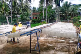 Seasonal Labor During Tet: High Wages Still Not Enough to Attract Workers