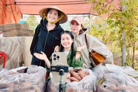 Processing to Enhance the Value of Sweet Potatoes