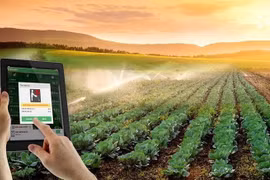 Supporting Cooperatives in Accessing and Adopting Digital Platforms and New Technologies