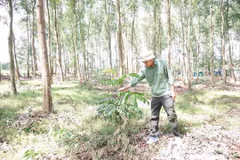 Preserving Green Spaces for the Land, Securing Livelihoods for the People