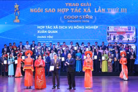 Heartwarming Stories of "Cooperative Stars"