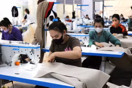 Actively Supporting Household Businesses in Transitioning to Enterprises