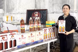 From Standardizing Quality to Expanding the Market
