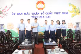 The Vietnam Fatherland Front Committee of Gia Lai Province has called for support to help local residents overcome the aftermath of Storm No. 13.