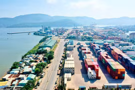 Applying AI to boost transparency in Vietnam’s agricultural production