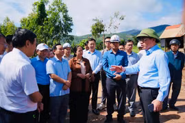 Quy Nhon-Pleiku expressway clears 99.5% of land for first 22km section