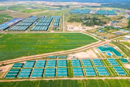 Taking Vietnamese Enterprises Deeper into International Markets
