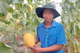 Clean Agriculture Elevates the Value of Agricultural Products