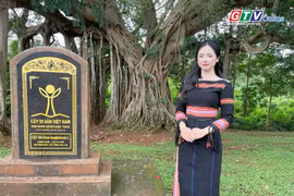 The heritage banyan tree in Ghe Village