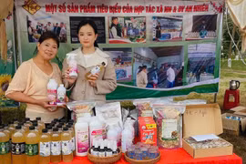 An Nhien Cooperative (Chu Krey commune) aims to enhance and expand its brand in the near future. Photo: DNCC