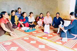 It is necessary to further strengthen public awareness campaigns on reproductive health care in villages and hamlets in the western region of the province.