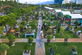 Quy Nhon Square is an ideal venue for hosting large-scale ornamental creature events. Photo: Ngoc Nhuan