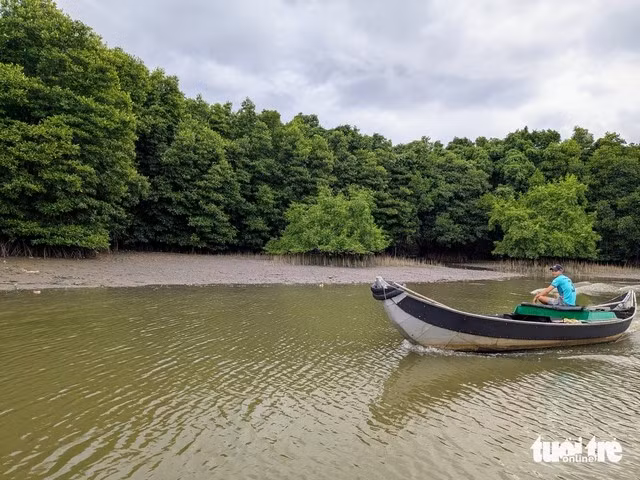 The restored lagoon landscape resembles a miniature Mekong Delta in central Vietnam. Photo: Tan Luc / Tuoi Tre